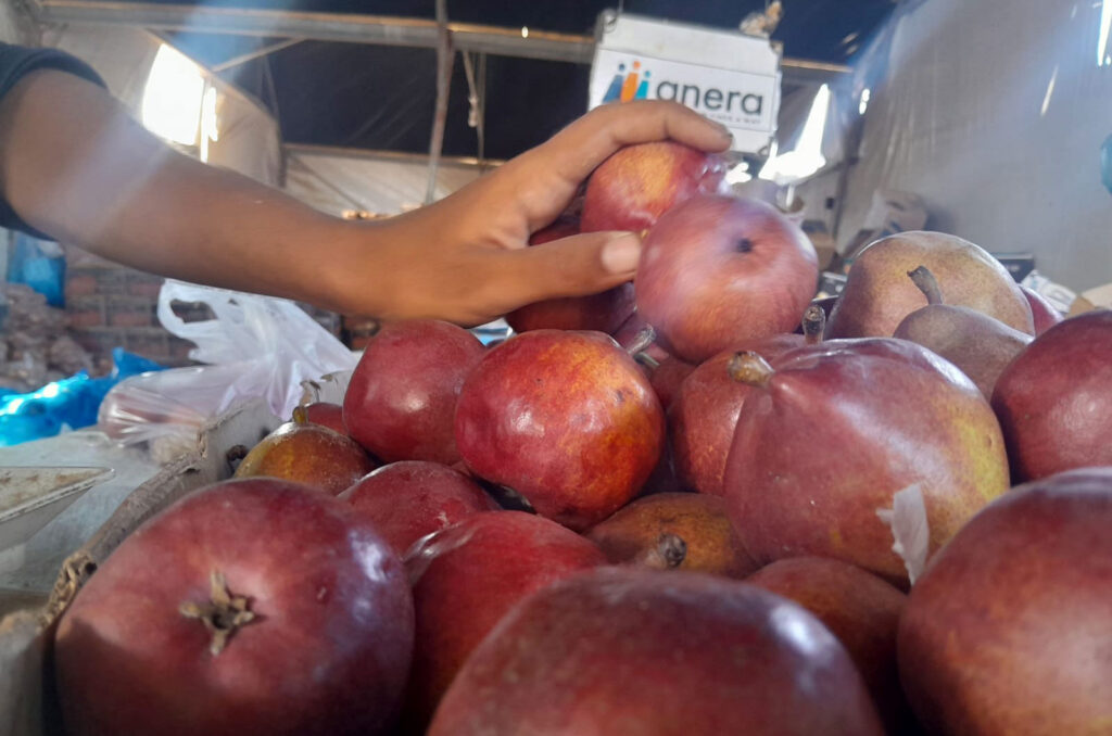 A worker's hand reaches for apples while assembling fresh produce bags today.