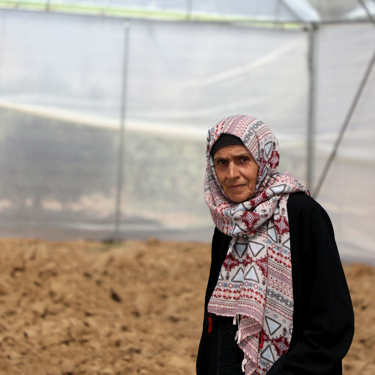 Habiba Mazyed in her greenhouse