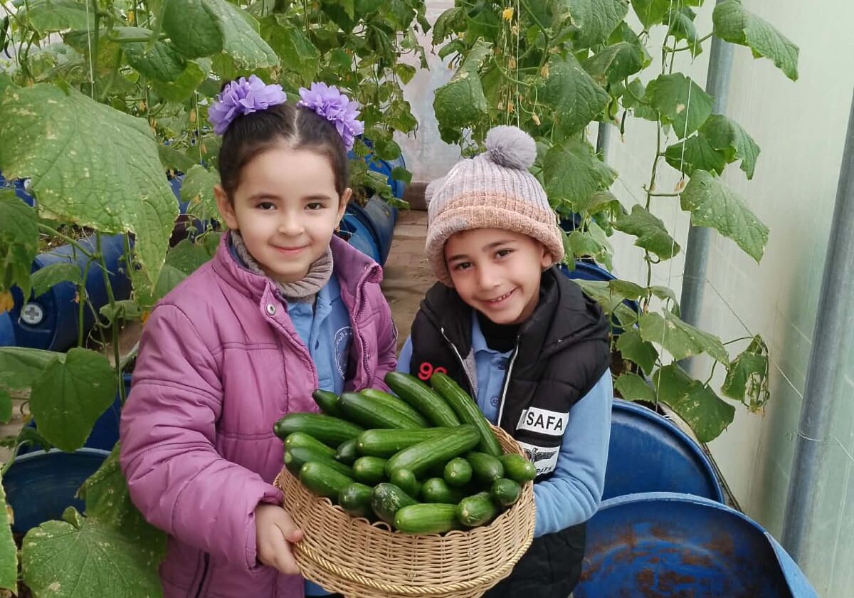 9b361d33-1cbb-4b49-bc92-5971b126e7d5