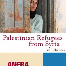 PalestinianRefugeesFromSyriainLebanon-11-231x300 PalestinianRefugeesFromSyriainLebanon-11-231x300