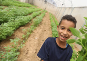 boy.greenhouse.landing.v4