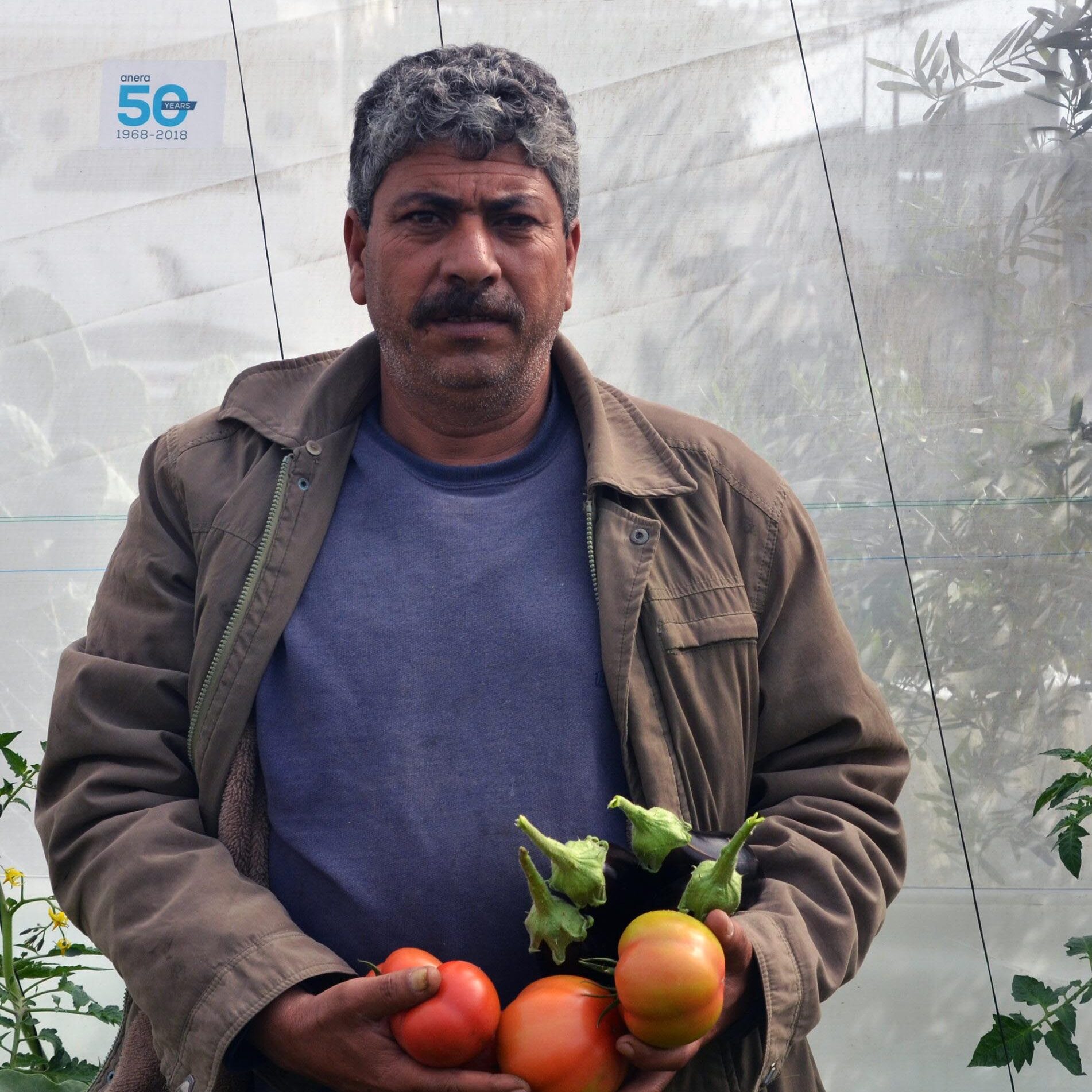 Jalal inside his greenhouse